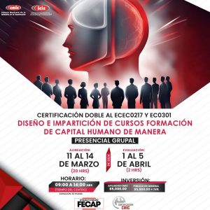 DISEÑO E IMPARTICIÓN DE CURSOS FORMACIÓN DE CAPITAL HUMANO